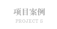项目案例